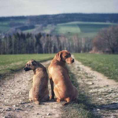 Lieblingsbild :D-Beitrag-Bild