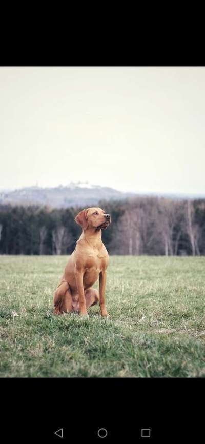 Fotochallenge No. 26                                     Wald und Wiese-Beitrag-Bild