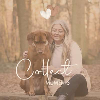 Tierfotografen-Fellverliebt Fotografie | Janin-Bild