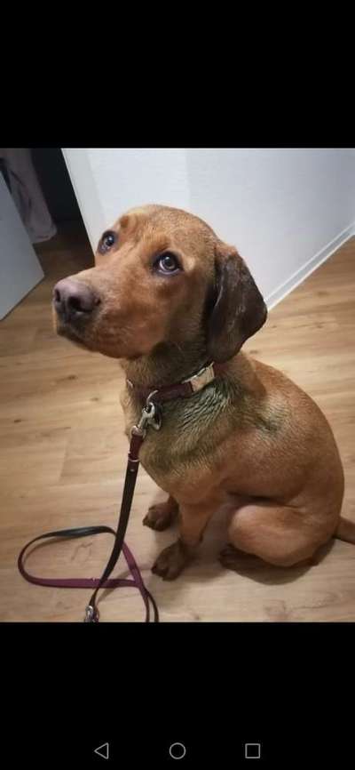 Zeigt mir doch mal eure Dreckspätze-Beitrag-Bild