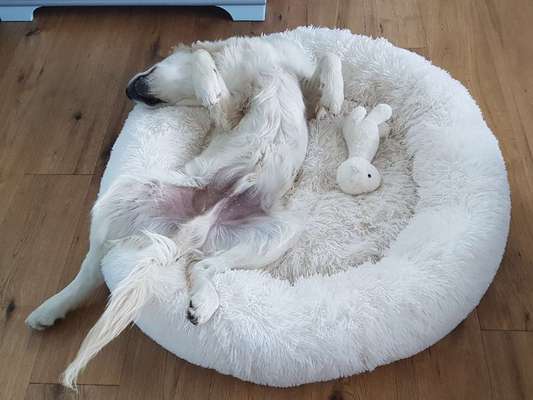 Erfahrung mit Wolkenbett-Beitrag-Bild