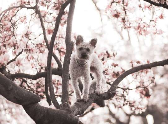 Austausch zur Fotografie-Beitrag-Bild