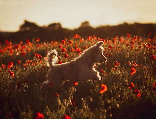 Austausch zur Fotografie-Beitrag-Bild