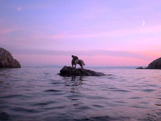 Austausch zur Fotografie-Beitrag-Bild