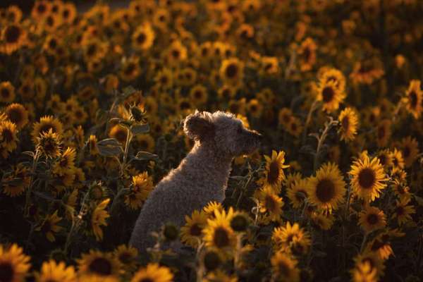 Austausch zur Fotografie-Beitrag-Bild