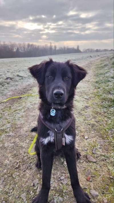 Doppelgänger gesucht !-Beitrag-Bild