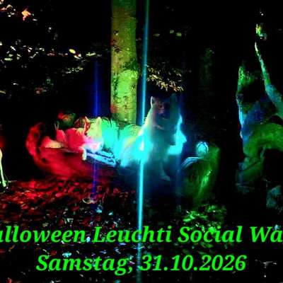 Hundetreffen-Kontaktfreier Halloween Leuchti Social Walk 🎃-Bild