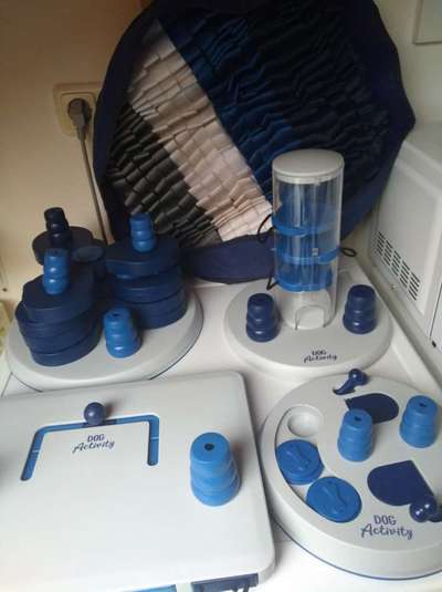 Samojede-Beitrag-Bild