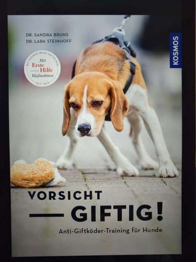 Samojede-Beitrag-Bild