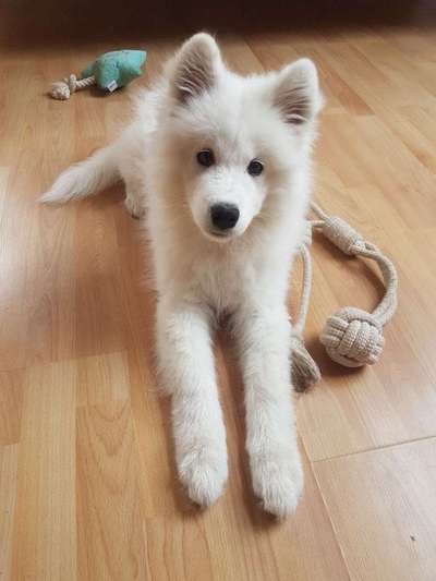 Handy-Foto Challange Nr. 10-Beitrag-Bild