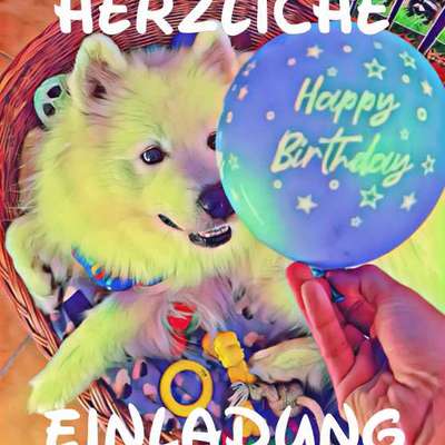 Hundetreffen-May the 4th (Birthday) be with you, my friends! 🐾🎁-Bild