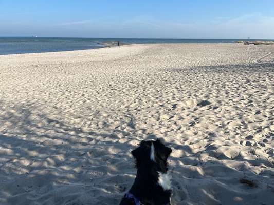 Urlaub am Meer-Beitrag-Bild