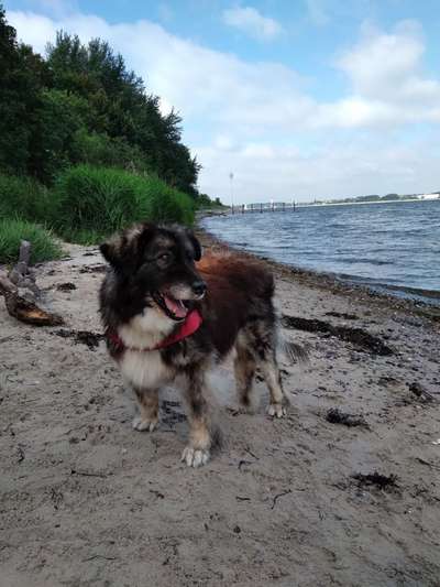 Was steckt in unserer süßen Maus?-Beitrag-Bild