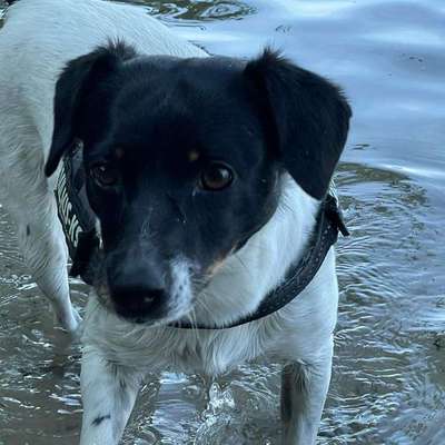 Michaela's Profilbild