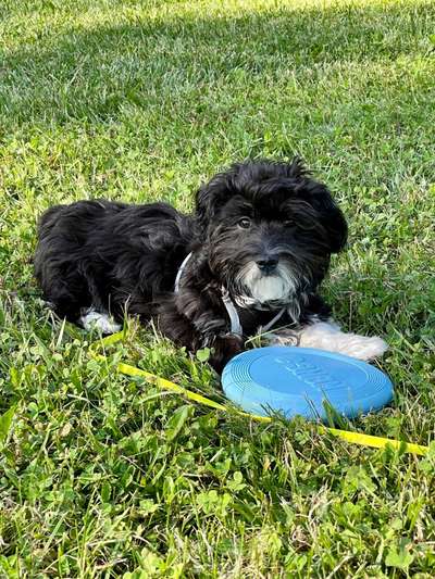 Lieblingsbild-Beitrag-Bild