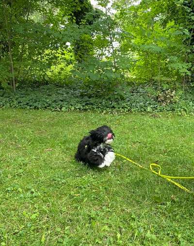 Moviestar-Pics!-Beitrag-Bild