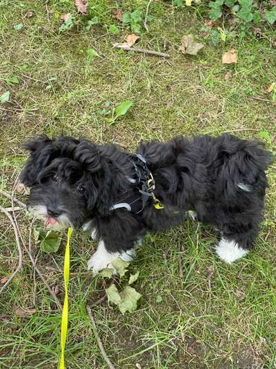 Doppelgänger gesucht !-Beitrag-Bild