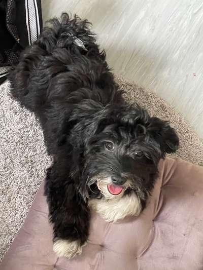 Das beste grinsefoto-Beitrag-Bild