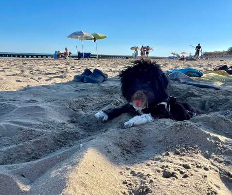 Fotochallenge Nr. 94 It's summer time-Beitrag-Bild