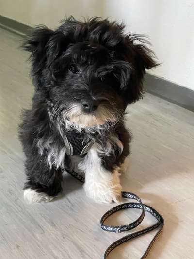 Doppelgänger gesucht !-Beitrag-Bild