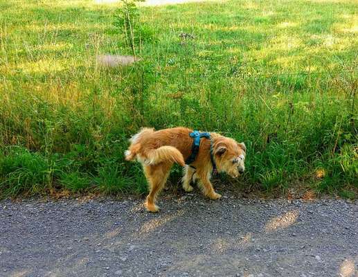 Doppelgänger gesucht !-Beitrag-Bild