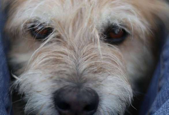 Handy-Foto Challange Nr. 10-Beitrag-Bild