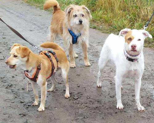 Handy-Foto-Challange Nr. 8-Beitrag-Bild