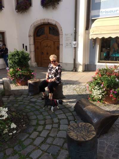 Dogorama Photo Challenge - Tierischer Urlaub-Beitrag-Bild