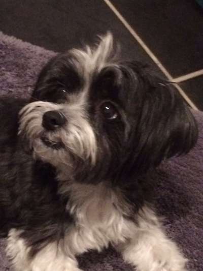 Fotochallenge Nr. 67: Euer Lieblingsbild-Beitrag-Bild