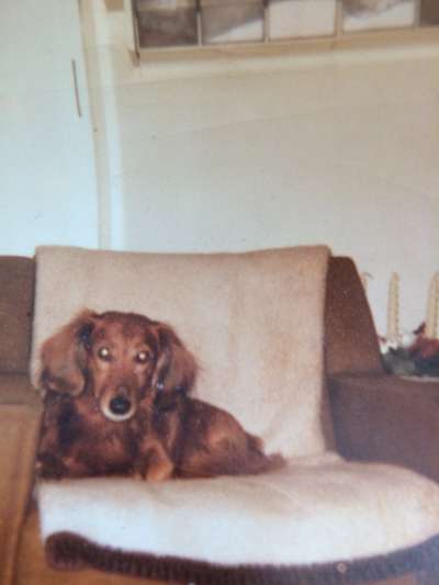 Unsere Sternchen ******-Beitrag-Bild