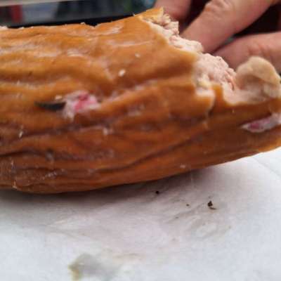 Giftköder-Möglicherweise Giftköder in Fleischwurst-Bild