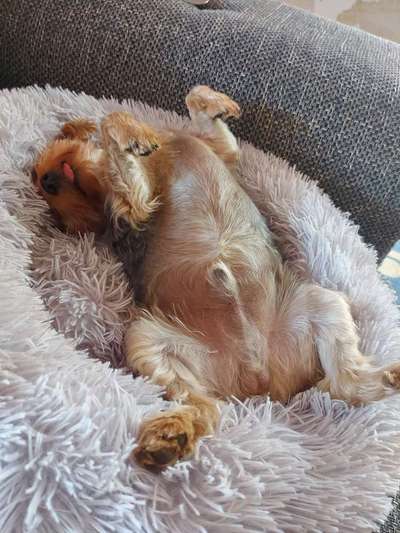 CHALLENGE NR. 34 - Liege-/Schlafpositionen-Beitrag-Bild