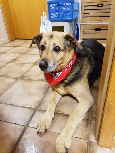 Fotochallenge Nr. 56 - geliebte Senioren-Beitrag-Bild