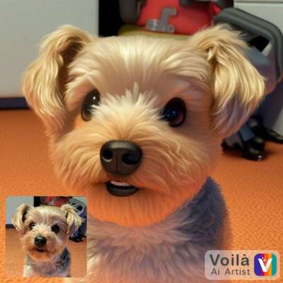 Voila app Bilder-Beitrag-Bild