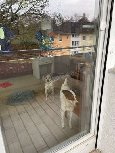 120. Fotochallenge-Beitrag-Bild