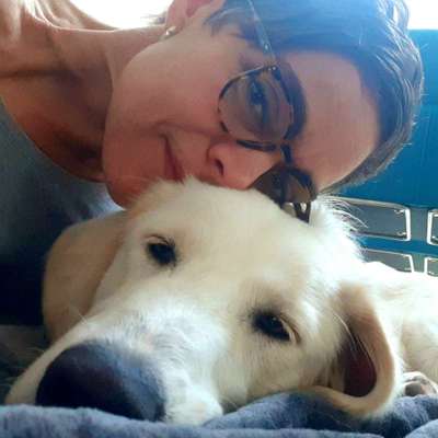 Hundetreffen-Gemeinsam Spazieren gehen mit Megan-Profilbild