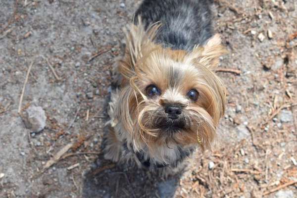 Handy-Foto Challange Nr. 10-Beitrag-Bild