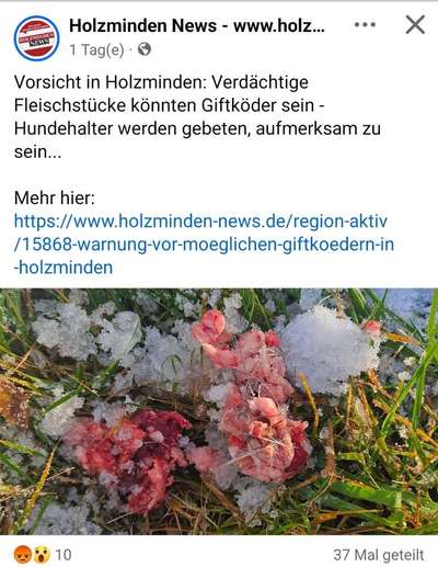 Giftköder-Verdacht auf Giftköder-Bild