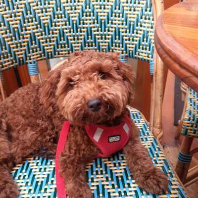 Claudine's Profilbild