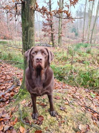 Lieblingsbild-Beitrag-Bild