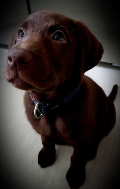 Lieblingsbild-Beitrag-Bild