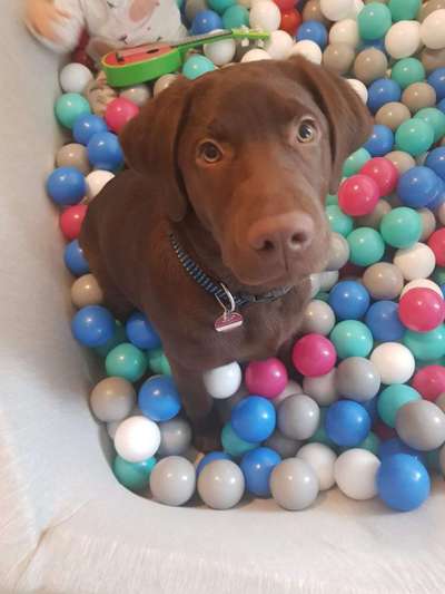 Lieblingsbild-Beitrag-Bild