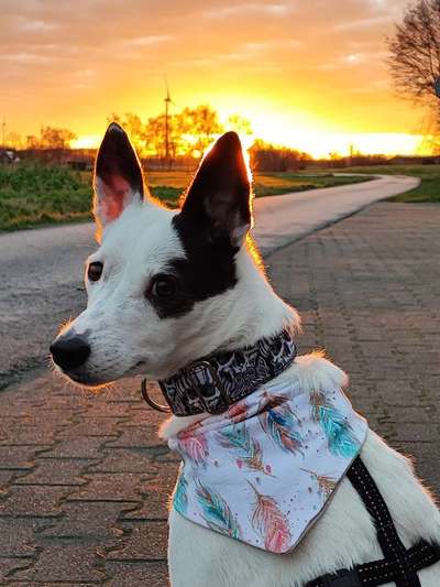 Lieblings Fotos-Beitrag-Bild