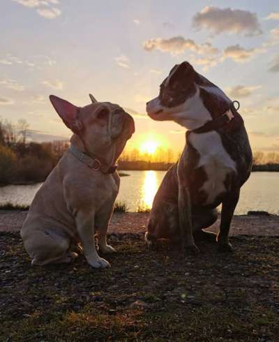 18. Farben Fotochallenge: Sonnenuntergang-Beitrag-Bild