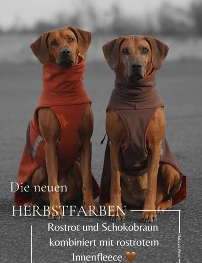 Regenmantel für den Hund (nötig?/Empfehlungen)-Beitrag-Bild