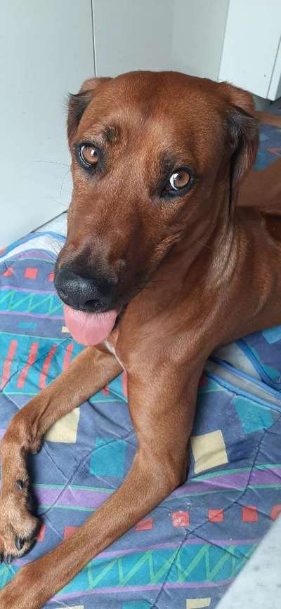 Doppelgänger gesucht !-Beitrag-Bild