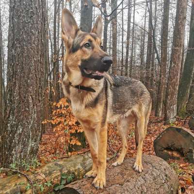 27. Handy Fotochallenge-Beitrag-Bild