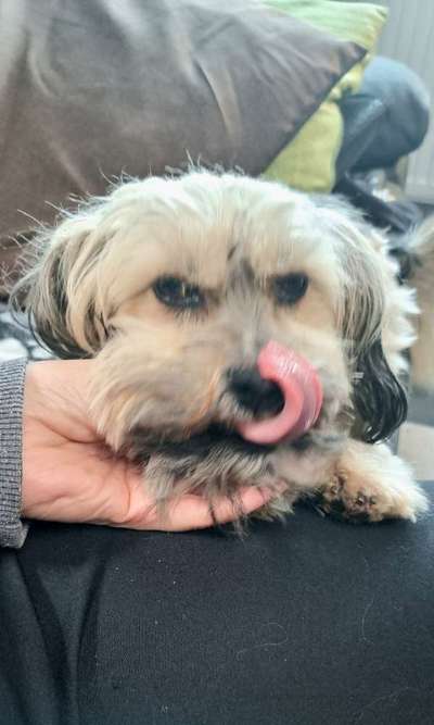 Handyfoto challenge Nr. 13: Waschlappen raus!-Beitrag-Bild