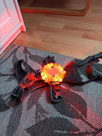 Beleuchtung im Herbst?-Beitrag-Bild