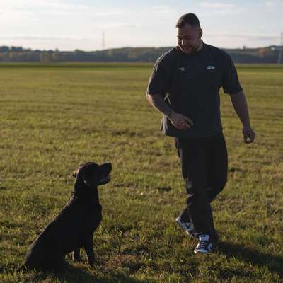 Hundetreffen-Socialwalk / Spielrunden-Profilbild